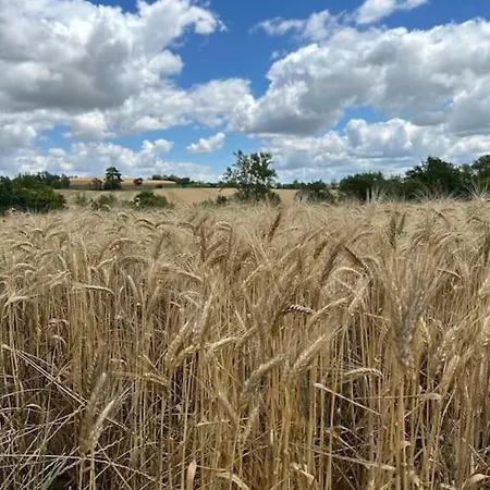 Appartement Charmant En Rdc Dans Chateau Avec Parc *