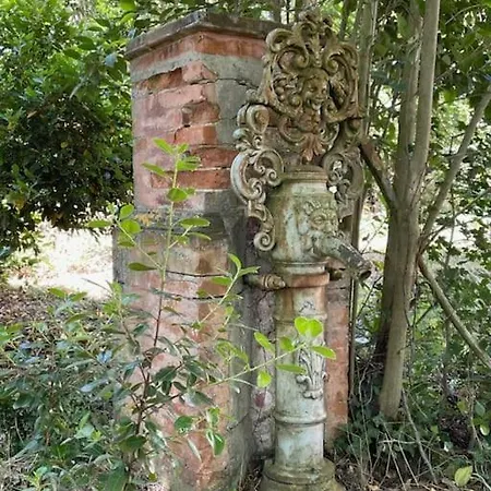 Charmant En Rdc Dans Chateau Avec Parc Villefranche-de-Lauragais